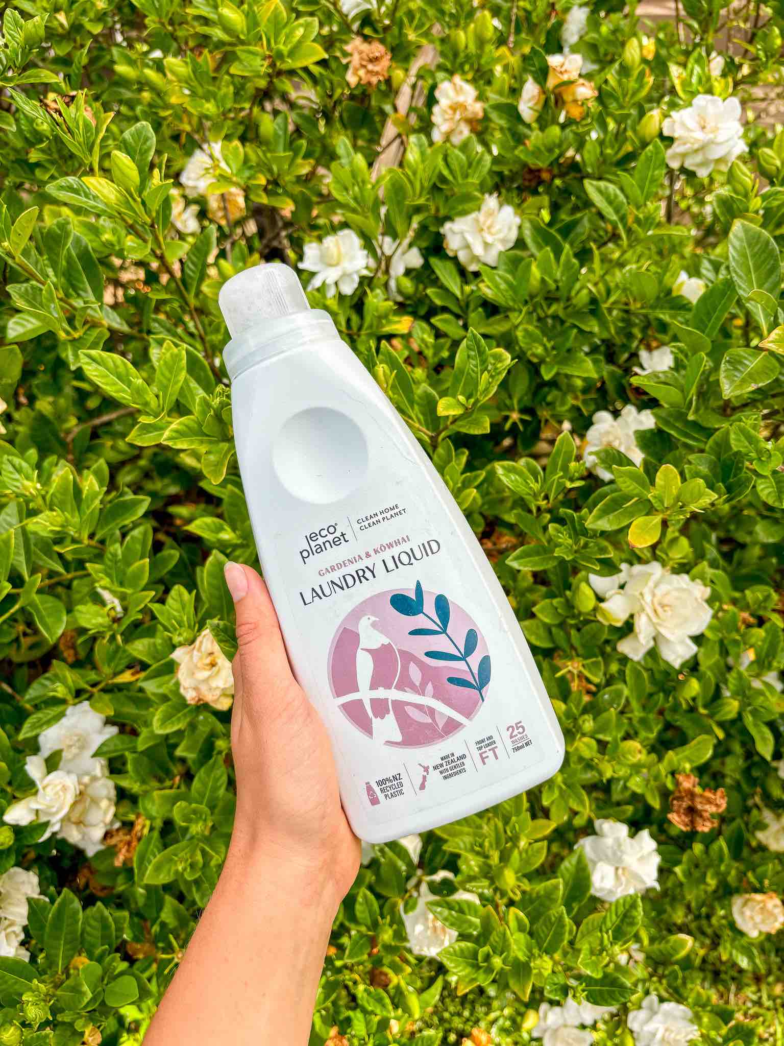 Gardenia Laundry Liquid by Eco Planet